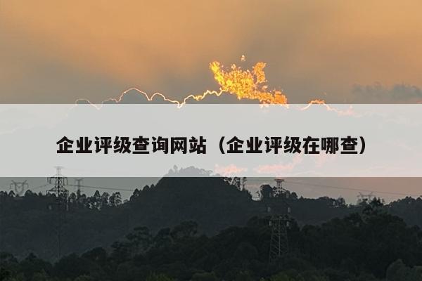 企业评级查询网站（企业评级在哪查）
