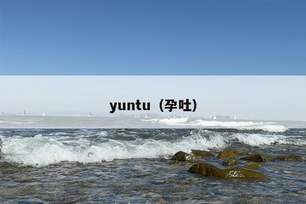 yuntu（孕吐）