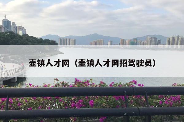 壶镇人才网（壶镇人才网招驾驶员）