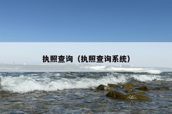 执照查询（执照查询系统）