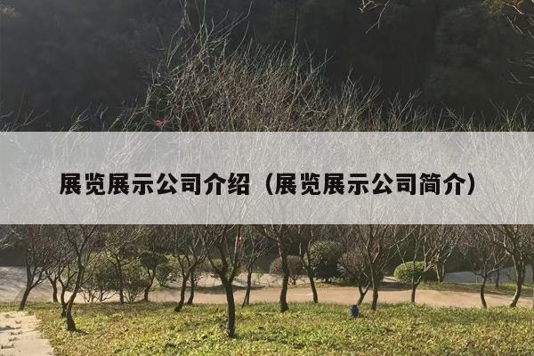 展览展示公司介绍（展览展示公司简介）
