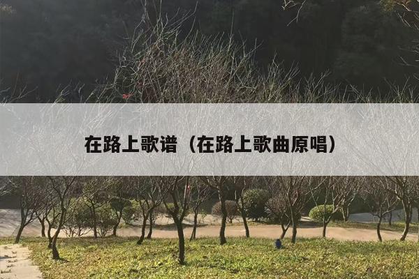 在路上歌谱（在路上歌曲原唱）