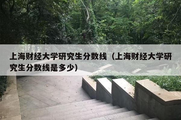 上海财经大学研究生分数线（上海财经大学研究生分数线是多少）