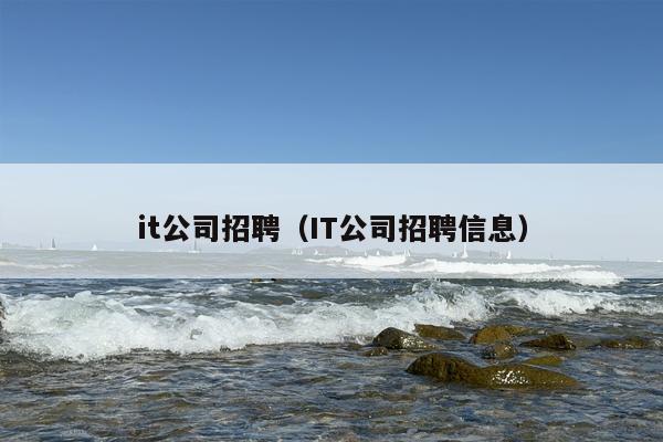 it公司招聘（IT公司招聘信息）