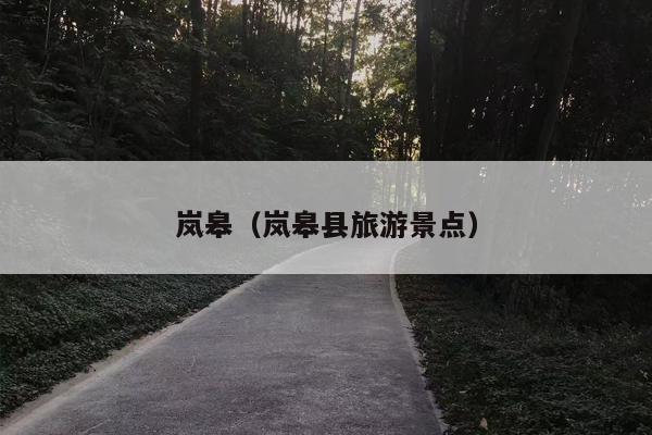 岚皋（岚皋县旅游景点）