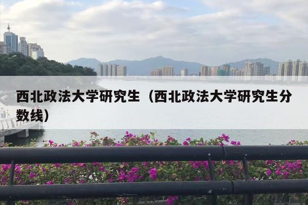 西北政法大学研究生（西北政法大学研究生分数线）