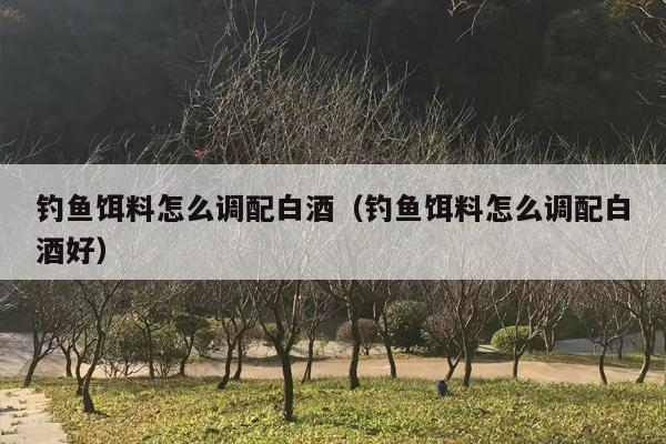 钓鱼饵料怎么调配白酒（钓鱼饵料怎么调配白酒好）