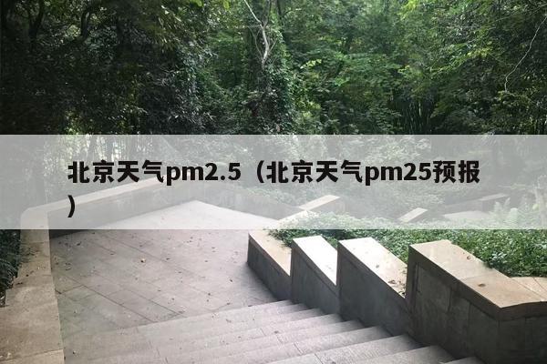 北京天气pm2.5（北京天气pm25预报）