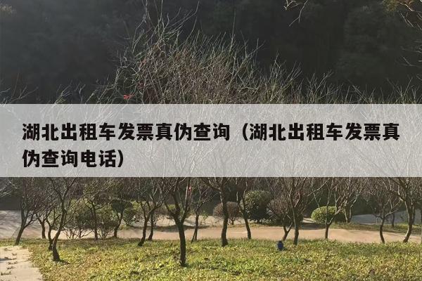 湖北出租车发票真伪查询（湖北出租车发票真伪查询电话）