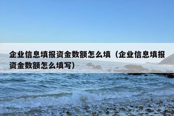 企业信息填报资金数额怎么填（企业信息填报资金数额怎么填写）