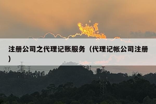 注册公司之代理记账服务（代理记帐公司注册）