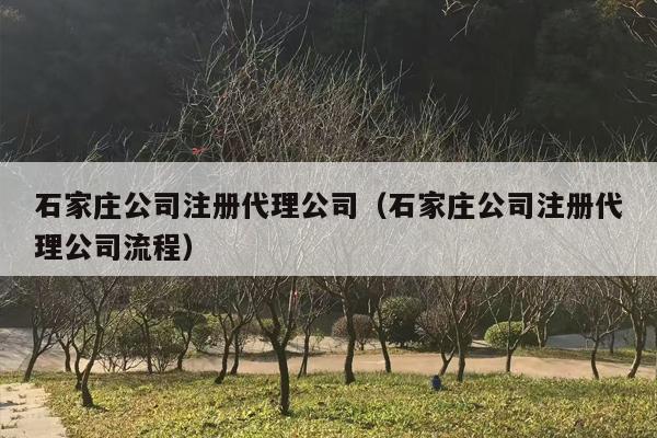 石家庄公司注册代理公司（石家庄公司注册代理公司流程）