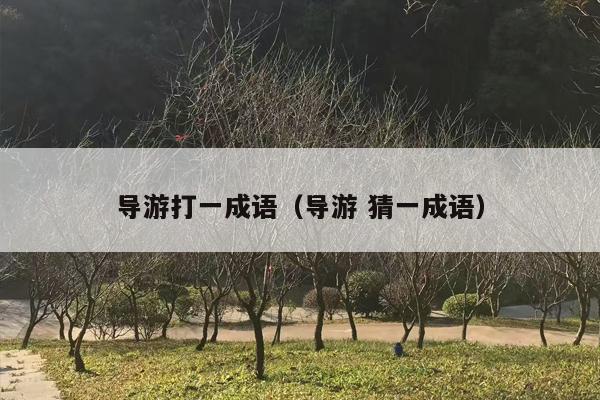 导游打一成语（导游 猜一成语）
