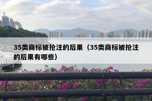 35类商标被抢注的后果（35类商标被抢注的后果有哪些）