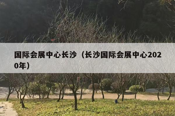国际会展中心长沙（长沙国际会展中心2020年）