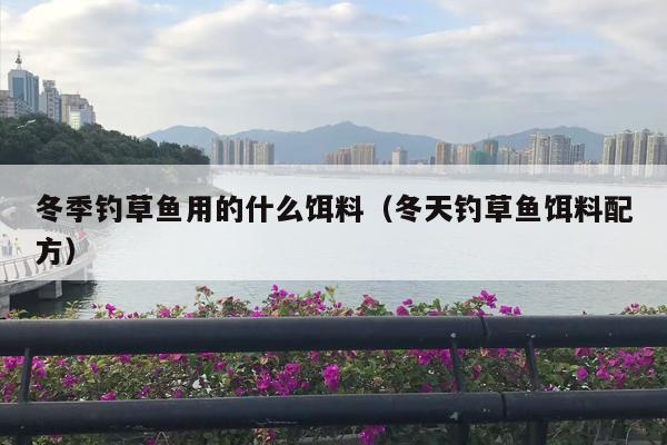 冬季钓草鱼用的什么饵料（冬天钓草鱼饵料配方）