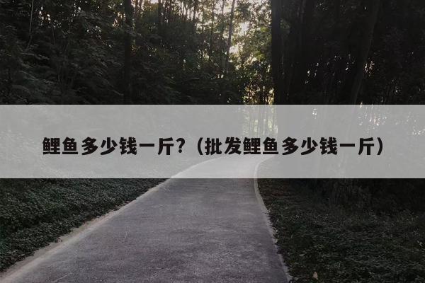 鲤鱼多少钱一斤?（批发鲤鱼多少钱一斤）