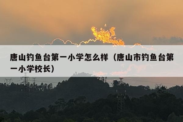 唐山***第一小学怎么样（唐山市***第一小学校长）