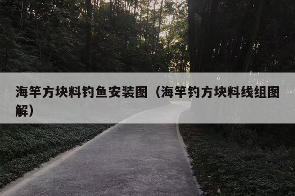 海竿方块料钓鱼安装图（海竿钓方块料线组图解）
