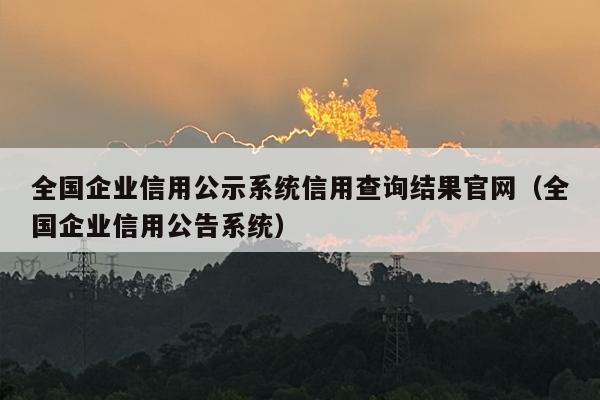 全国企业信用公示系统信用查询结果官网（全国企业信用公告系统）