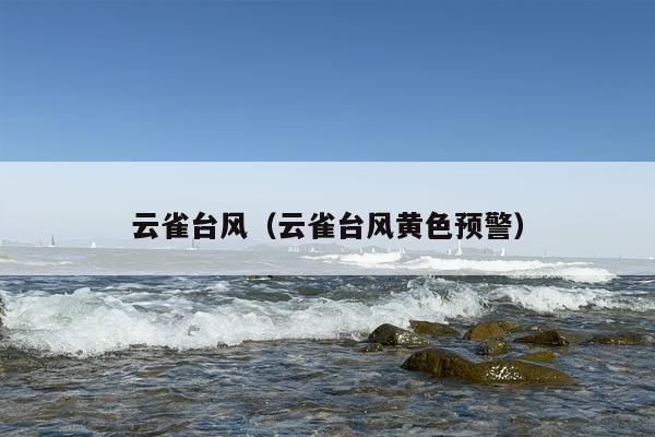 云雀台风（云雀台风黄色预警）