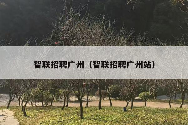 智联招聘广州（智联招聘广州站）