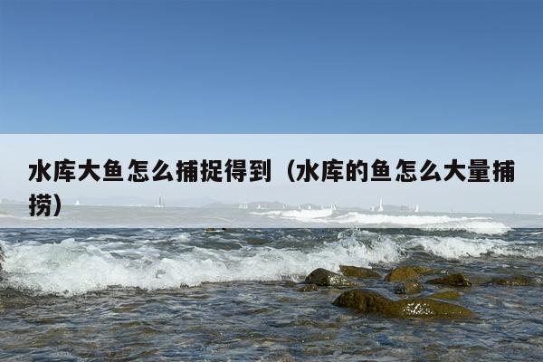水库大鱼怎么捕捉得到（水库的鱼怎么大量捕捞）