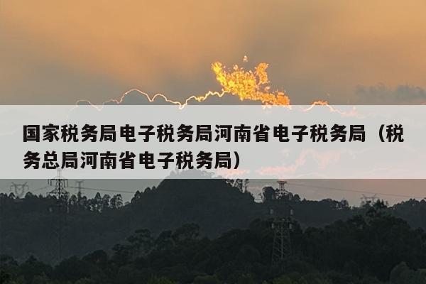 国家税务局电子税务局河南省电子税务局（税务总局河南省电子税务局）