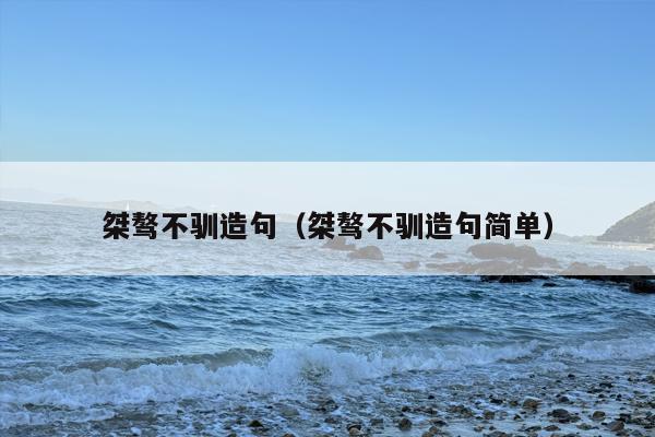 桀骜不驯造句（桀骜不驯造句简单）