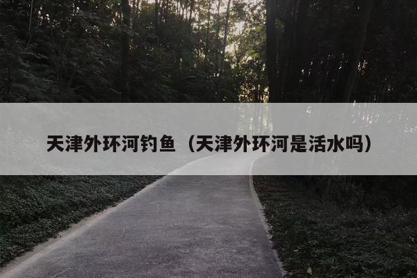天津外环河钓鱼（天津外环河是活水吗）