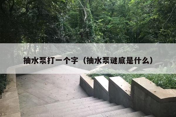 抽水泵打一个字（抽水泵谜底是什么）