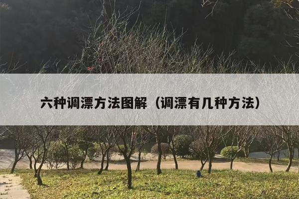 六种调漂方法图解（调漂有几种方法）