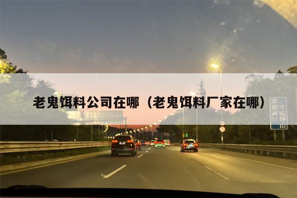 老鬼饵料公司在哪（老鬼饵料厂家在哪）