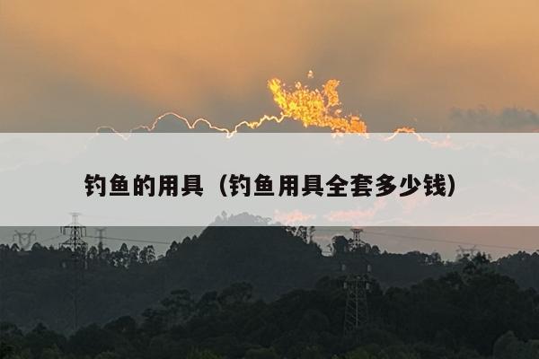 钓鱼的用具（钓鱼用具全套多少钱）