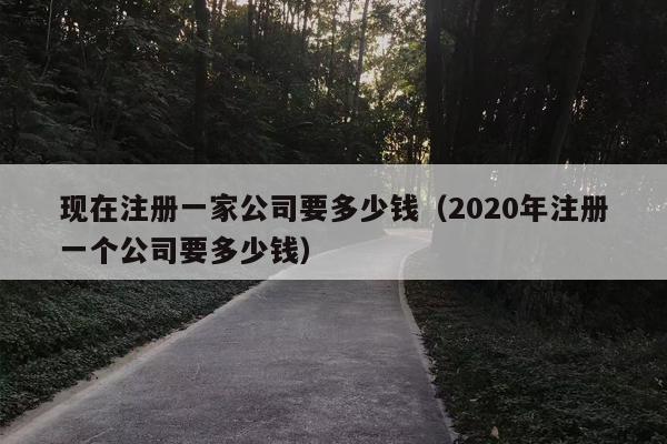 现在注册一家公司要多少钱（2020年注册一个公司要多少钱）