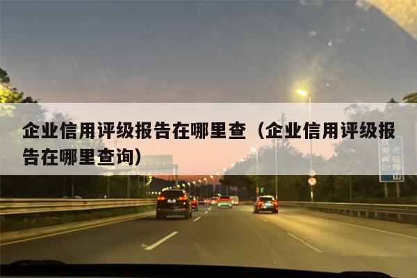 企业信用评级报告在哪里查（企业信用评级报告在哪里查询）