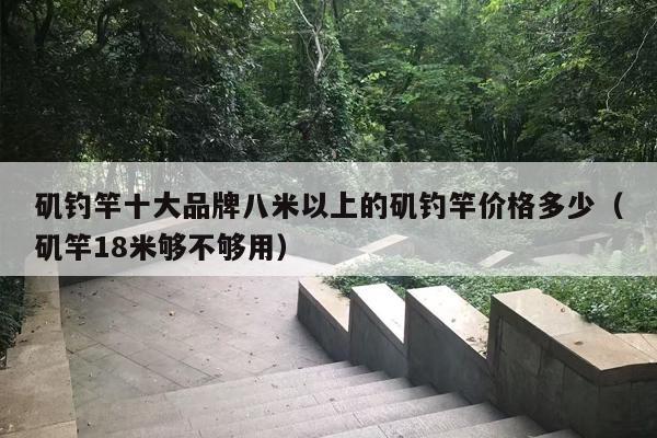 矶钓竿十大品牌八米以上的矶钓竿价格多少（矶竿18米够不够用）