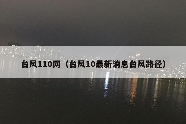 台风110网（台风10最新消息台风路径）