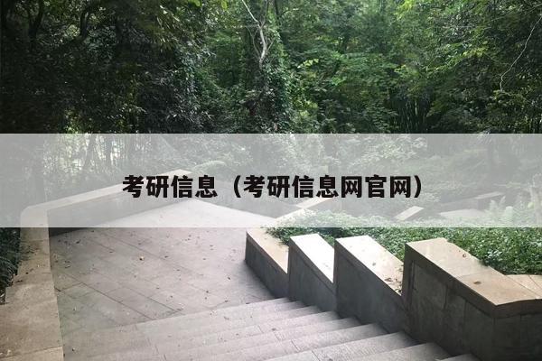 考研信息（考研信息网官网）