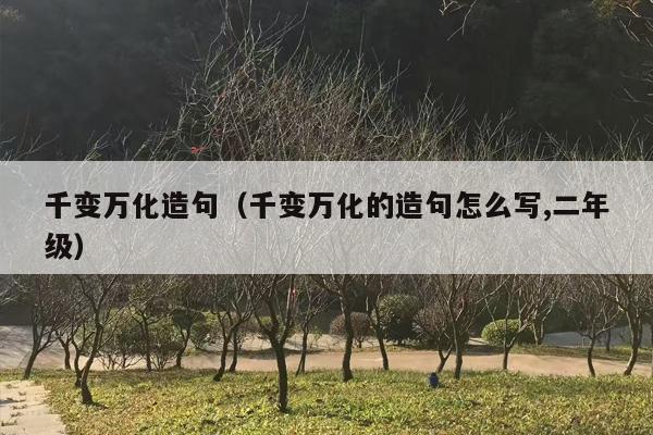 千变万化造句（千变万化的造句怎么写,二年级）