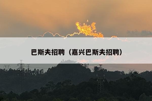 巴斯夫招聘（嘉兴巴斯夫招聘）