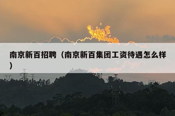 南京新百招聘（南京新百集团工资待遇怎么样）