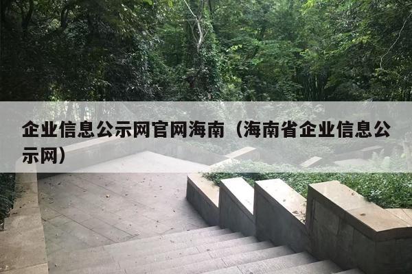 企业信息公示网官网海南（海南省企业信息公示网）