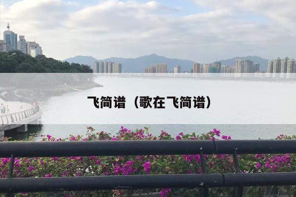 飞简谱（歌在飞简谱）