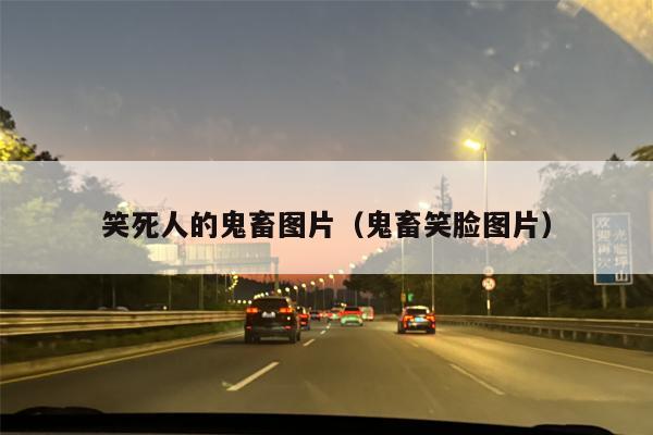 笑死人的鬼畜图片（鬼畜笑脸图片）