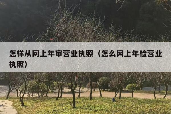 怎样从网上年审营业执照（怎么网上年检营业执照）
