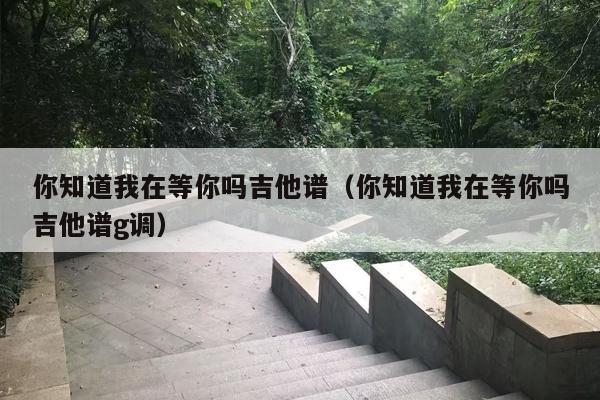你知道我在等你吗吉他谱（你知道我在等你吗吉他谱g调）