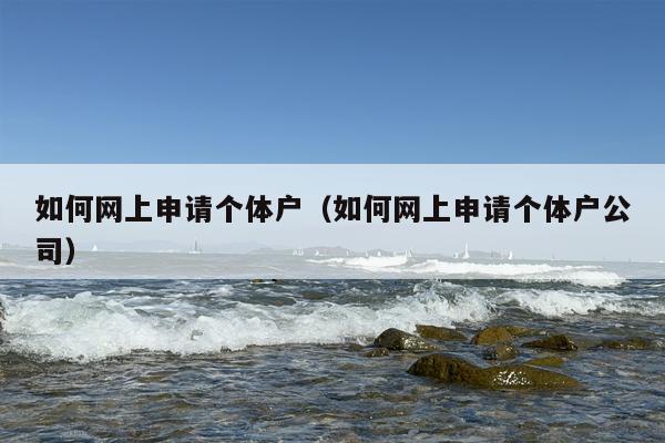 如何网上申请个体户（如何网上申请个体户公司）