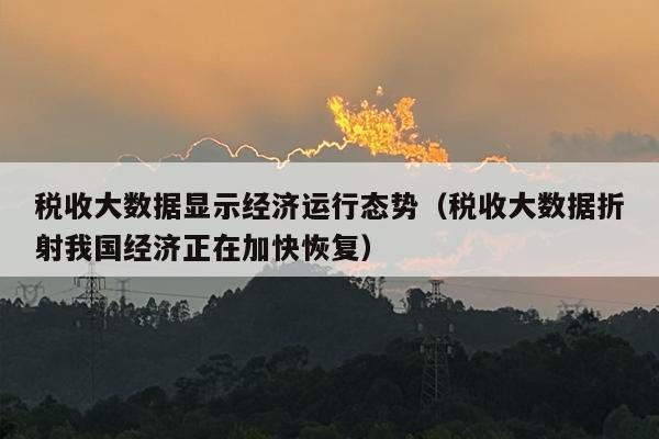 税收大数据显示经济运行态势（税收大数据折射我国经济正在加快恢复）