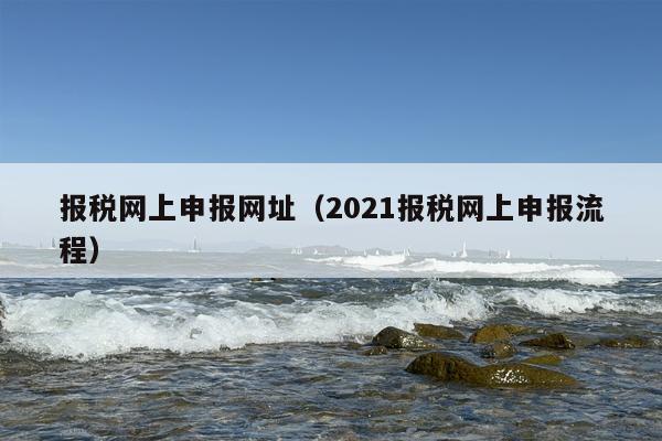 报税网上申报网址（2021报税网上申报流程）